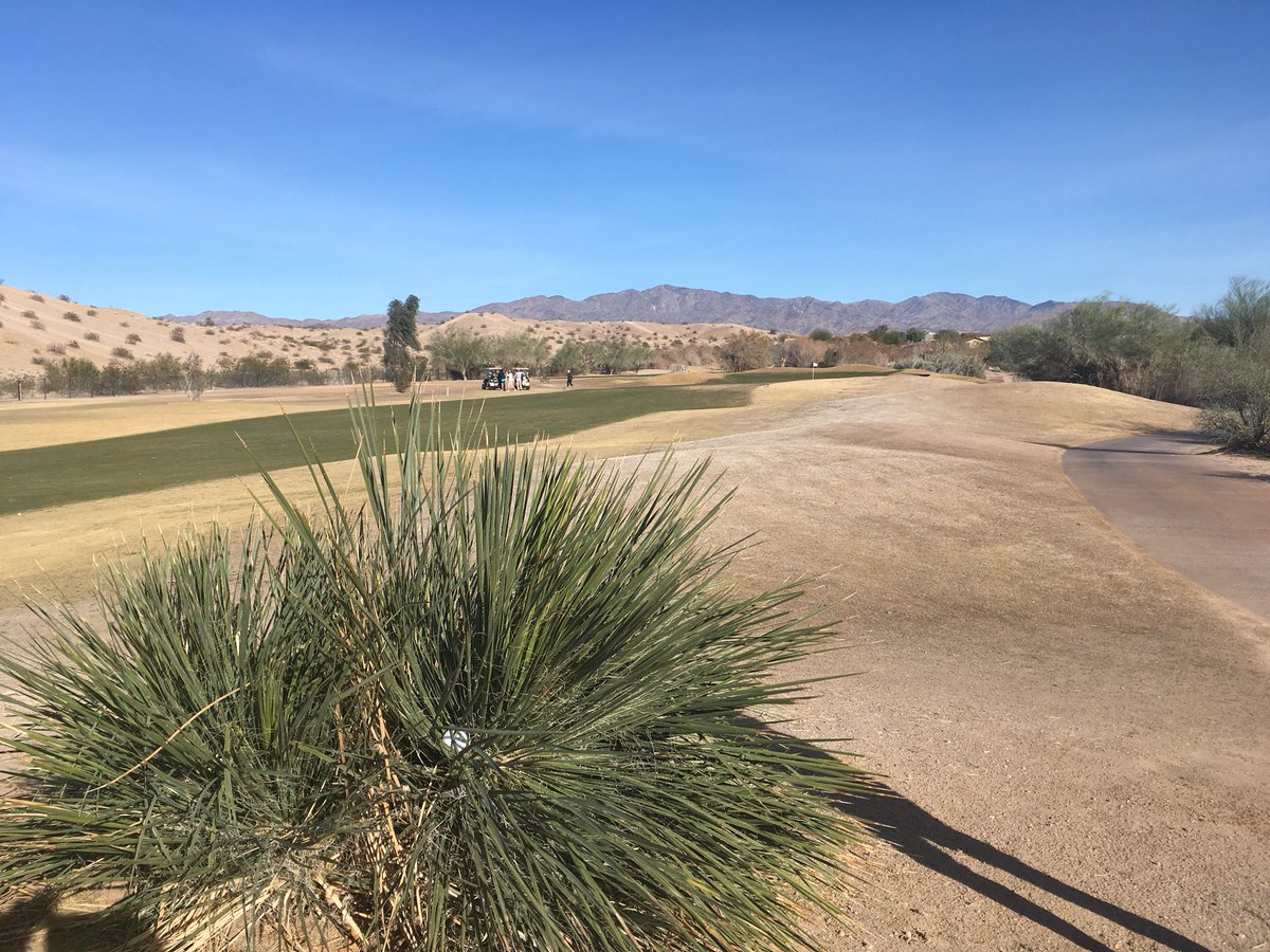 HavasuRV173's tweet photo. Another day..another interesting lie #bushball #playitasitlies @GoLakeHavasu #TheRefuge https://t.co/B4BxtP42gk