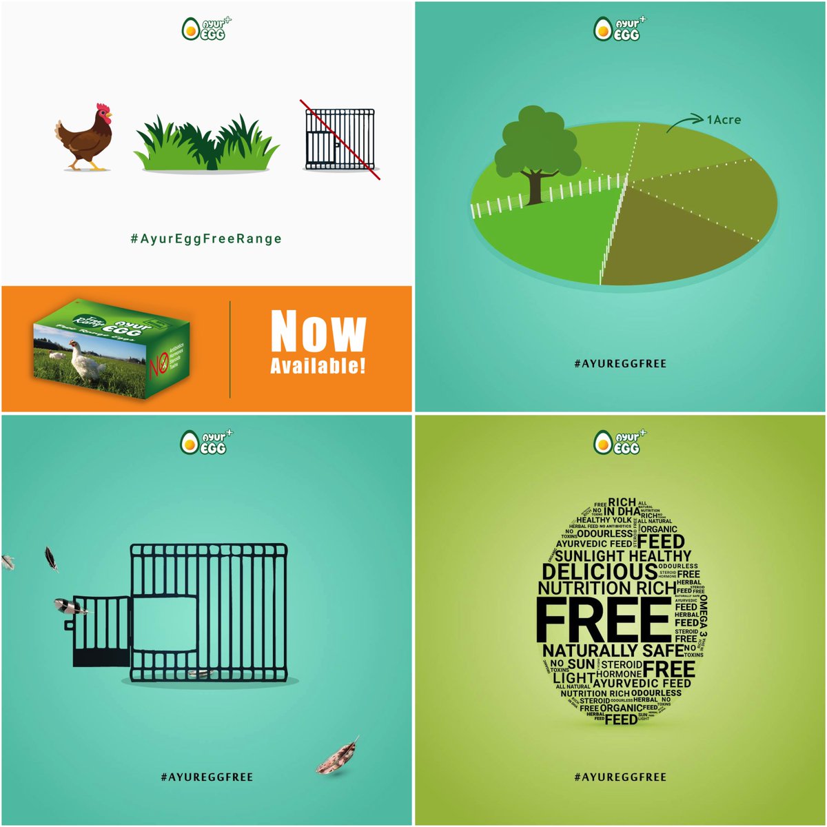 letsgoosocial's tweet photo. Now Available! Now Available!
Nutritious &amp; healthy #AyurFreeRangeEggs are now available at a store near you. #FreeRangeEggs #AyurEgg
.
.
Brand: @ayur_egg 
Design: Ashok
Content: SD
#LGSThrowback #LetsGooSocial #DigitalMarketing #SocialMediaAgency #Marketing https://t.co/gHt6ZAhtfR
