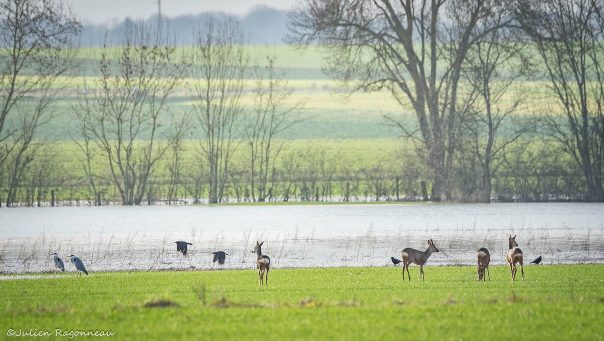 🦸🏻‍♀️ Aude Pocchiola 👩🏻‍🌾👩🏻‍🏫🇮🇹 tweet media