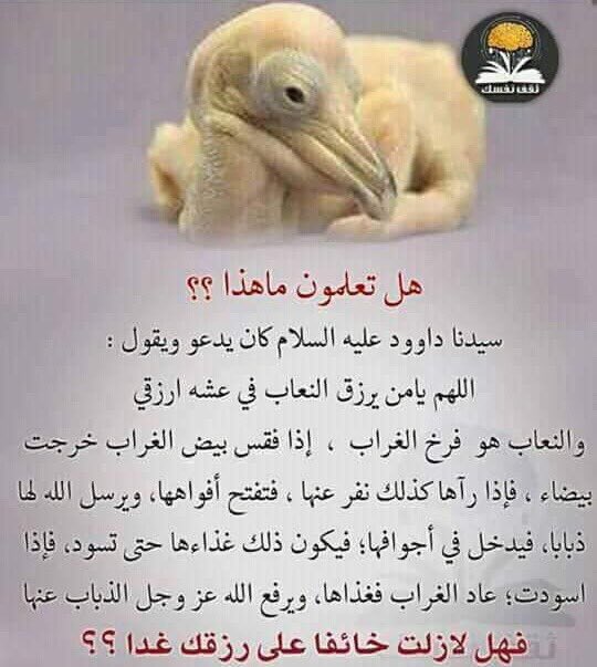 lijtLzBwEQWf0gw's tweet photo. https://t.co/bBuySxlbn2