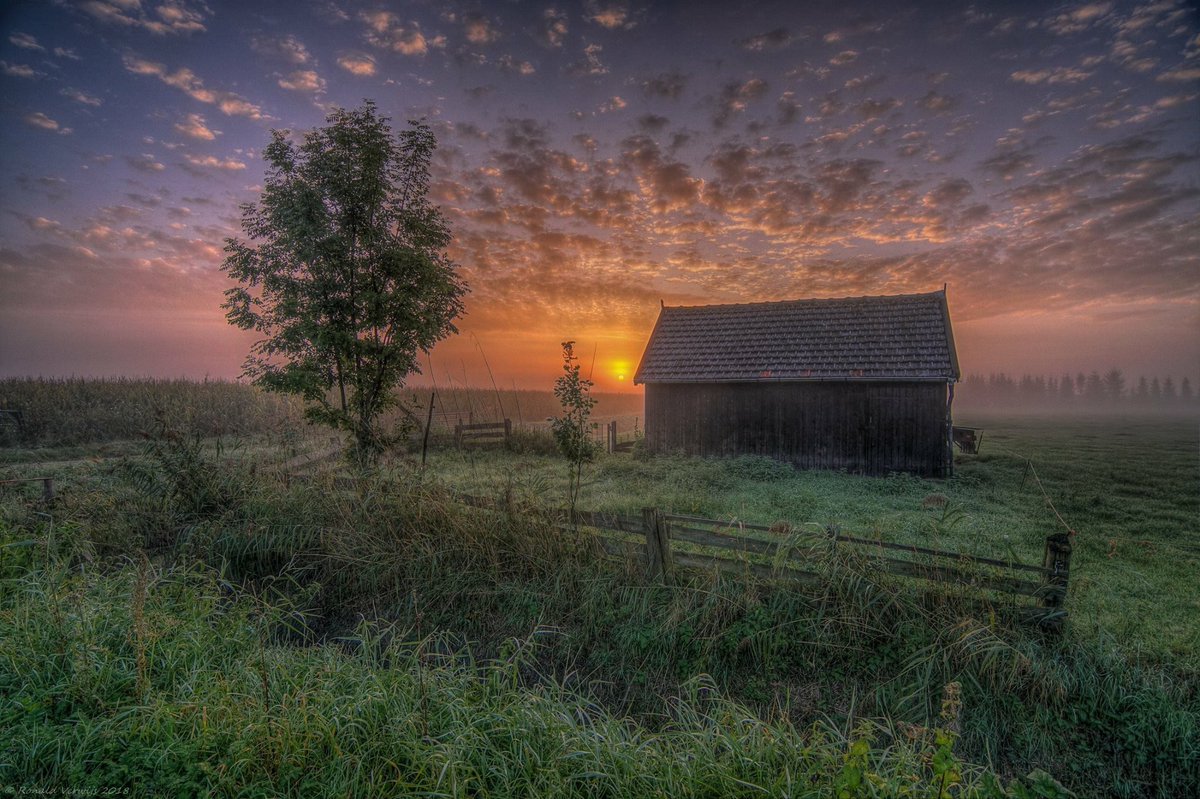 “Sunrise”