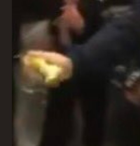 oreoKingCrypto's tweet photo. @AlwrongHDC @jusshon @Under_HerName @therealrecla @Aetje1222 @Potathoefries @YaBoyLJayy @arcelova Pretty sure he's holding a half eaten pear https://t.co/NxamGlDZaU