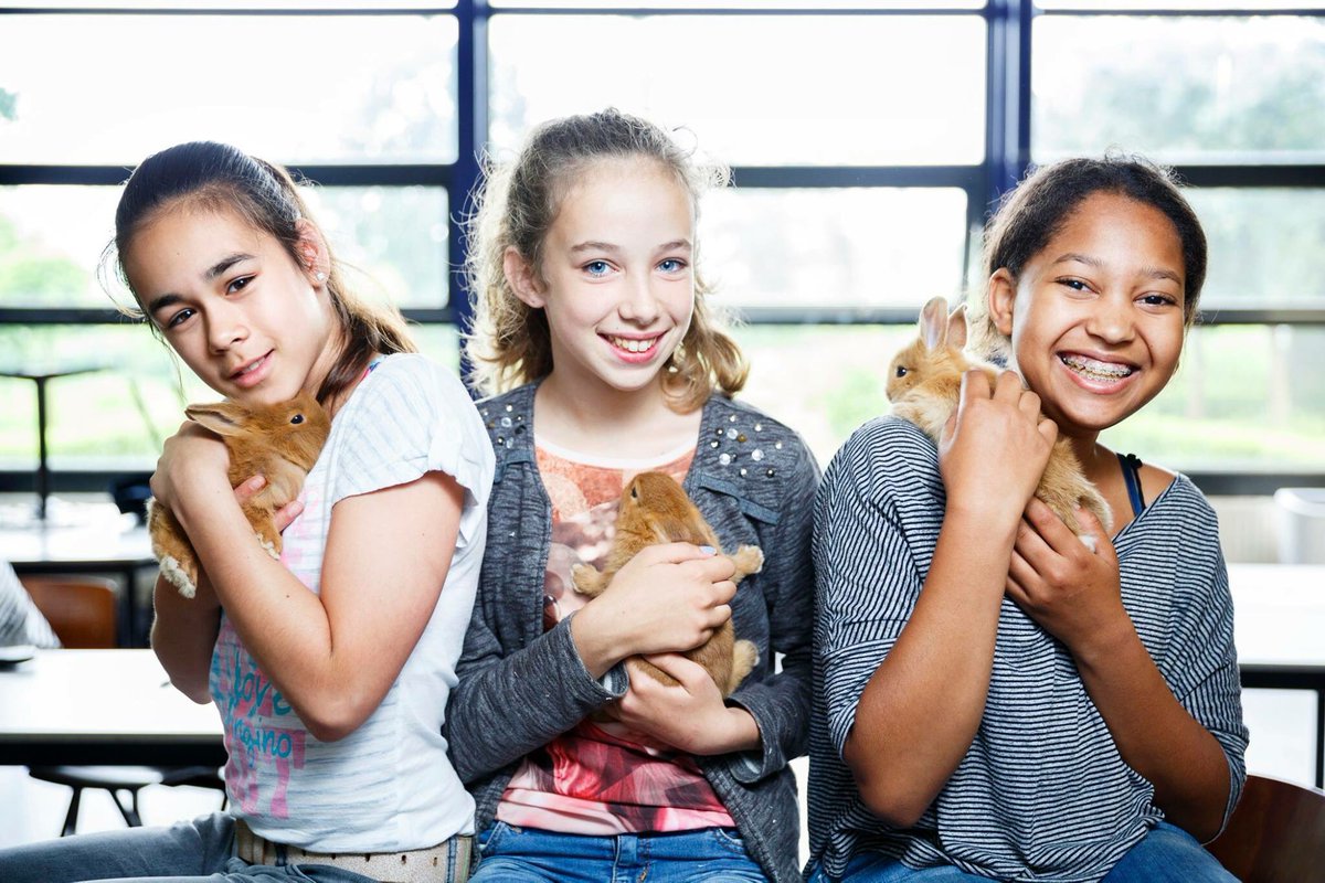 Kom je morgen ook op onze open dag? Je bent van harte welkom tussen 11.00 en 15.00 uur.