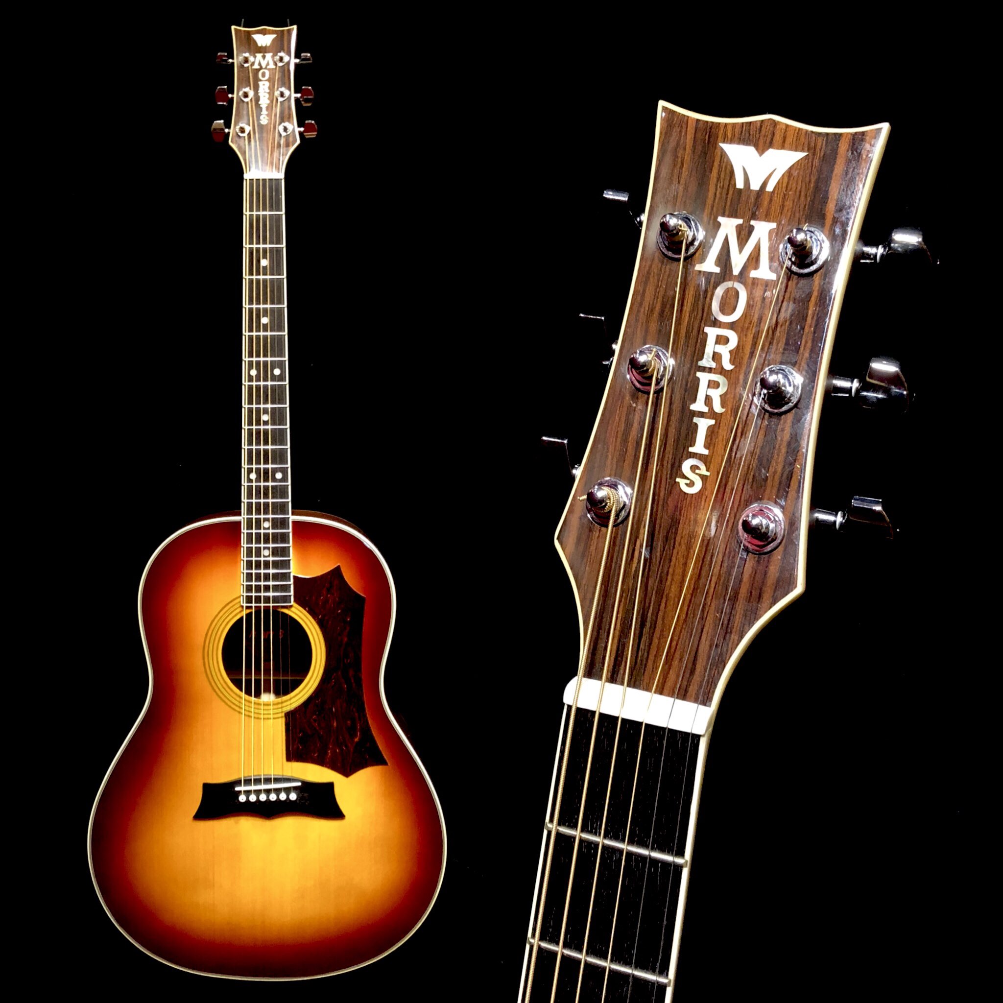 Morris MG-30 アコースティックギター モーリス 楽天市場】Morris モーリス/アコースティックギター/MG-30