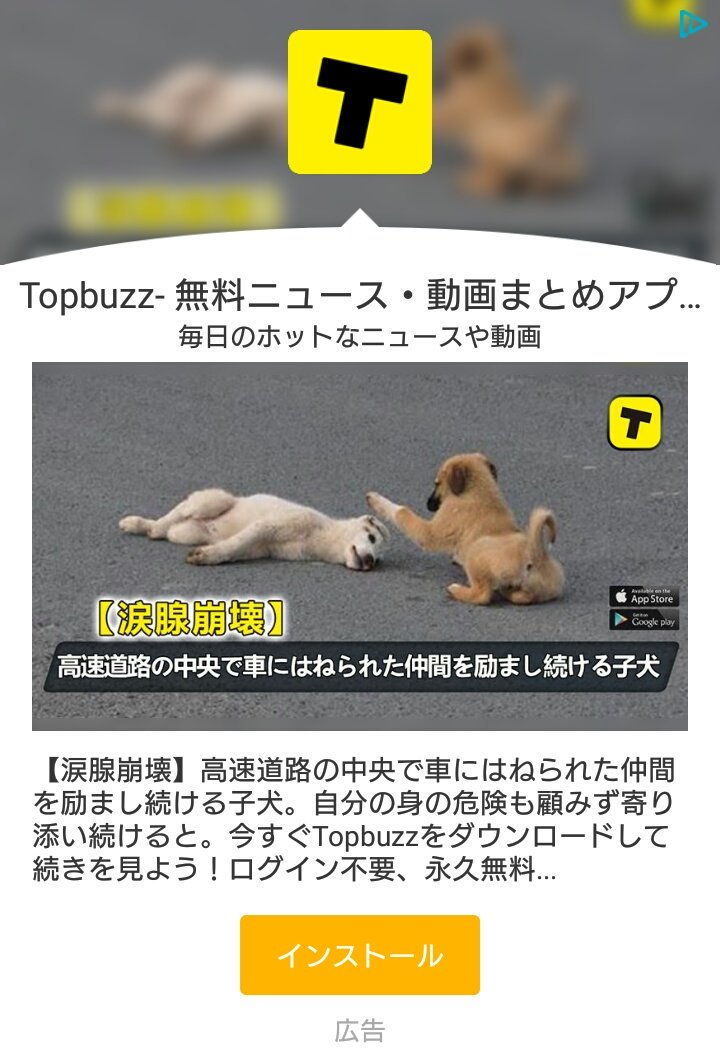 M6zVDncCSRqJSCq's tweet photo. はいでたよ糞広告
最近はおとなしくなったと思ったらすぐこれよ
結局は児童ポルノを疑わせる広告を平気で出してた時と何一つ変わっちゃーいないのよねぇ
やっぱりtopbuzz運営はサイコパスしかいないのかな?ん?
で?利用規約は表示するようにした?ん?
#topbuzz
#topbuzzvideo
#犬虐待
#拡散希望 https://t.co/nfOz8nkeax