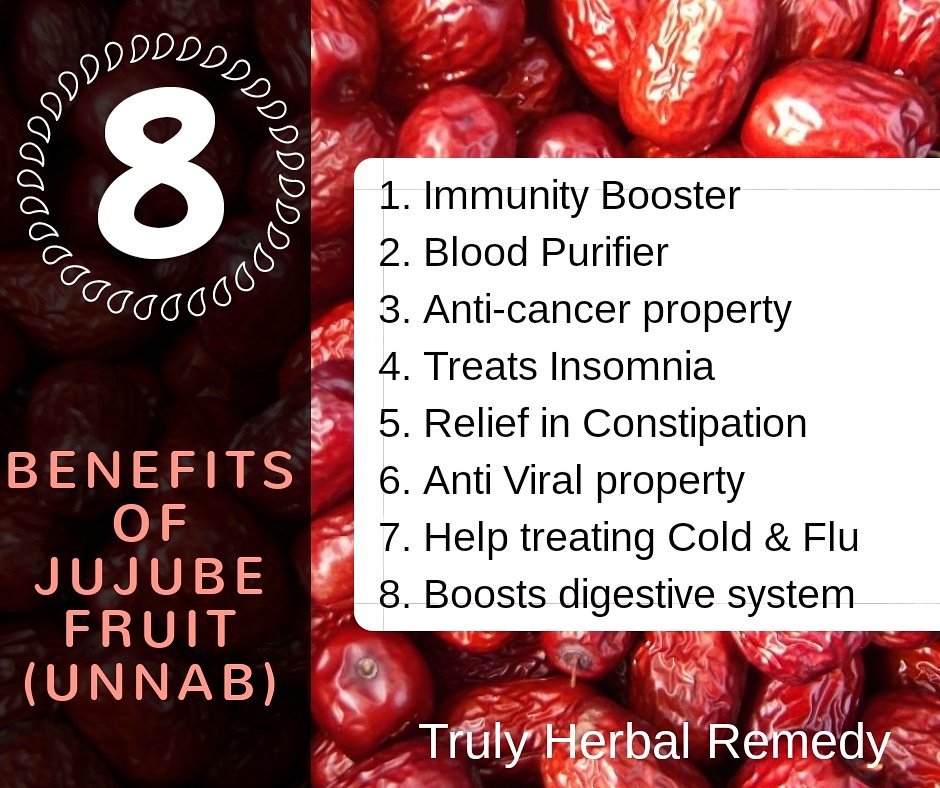 Truly Herbal Remedy Amazing Health Benefits Of Jujube Fruit The Anticancer Fruit Like Follow Retweet Beyondtheclouds Innovation Foryou Dailynews T Co 4fxyngqe23