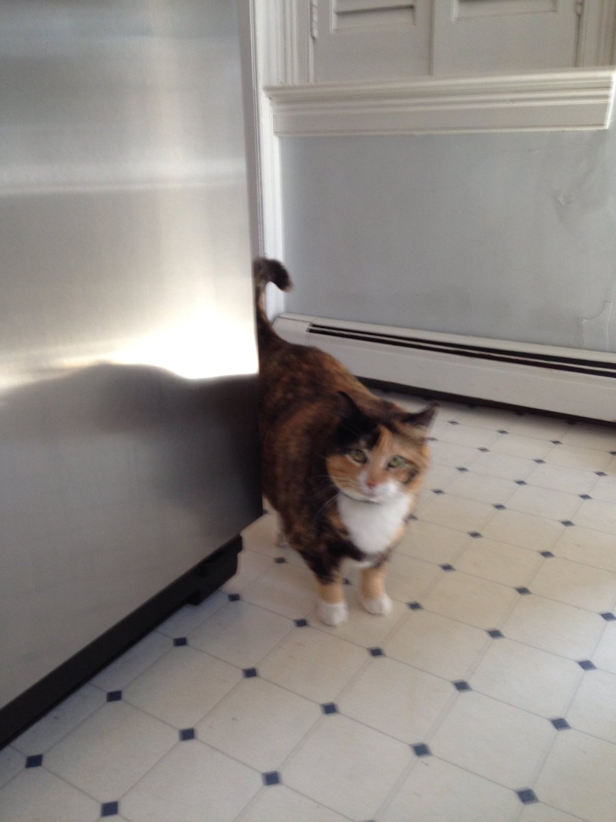 Did I hear Breakfast?