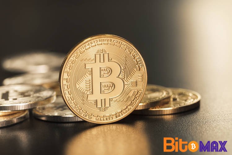 BitomaxOfficial's tweet photo. Bitomax - Physical &amp; Cloud Cryptocurrency Mining | Best Digital Currency Services | Digital Cryptocurrency Mining
Bitomax provide best Physical &amp; Cloud mining platform! Bitomax helps you to choose Digital Cryptocurrency Mining and also known as  Best Digital Currency Services. https://t.co/CtbObLCVid