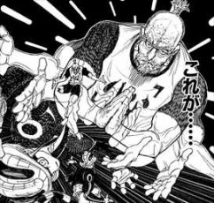 ハンターハンター ネテロvsメルエムを徹底考察 念能力や強さを比較 3ページ目 Selvy