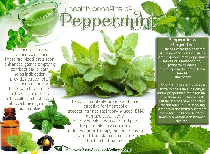 FightLupusOutIn's tweet photo. Did you know that #peppermint provides  #stress relief and so many other helpful needs? The STLF wants to keep you informed of the #Natural #Healing agents that can help you #Fight #Lupus. #LupusSurvivors #Houston #Wellness #FightLupusOutsideIn #LupusAwareness https://t.co/w56WoU183U