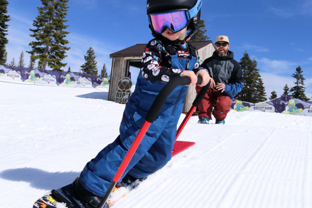 Burton Riglet on X: The Burton Handle Bar is a great teaching tool for  #kids that allows them to hop on a snowboard for a quick and easy try at  #snowboarding. Ask