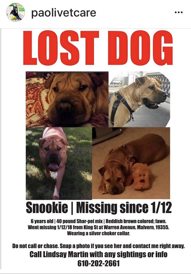 Call 610-202-2661 with sightings! ☹️