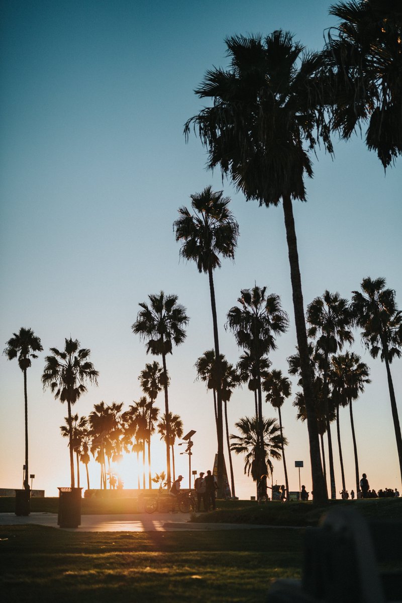 MrsBurns73's tweet photo. Palm Trees and class rooms are on the agenda today.  If you are near Long Beach, Ca this weekend come join us at the International Salon and Spa Show at the convention center.  The Empowering You Leaders will be presenting three classes that you do not want to miss!
.
.
.
.
. ... https://t.co/qzAw8zp8nI