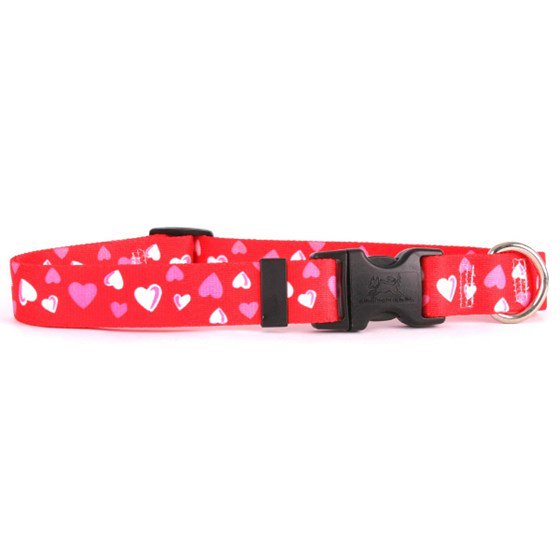 Our sister website <a href="/eDogStore/">eDogStore</a> has hundreds of great dog leads and collars which are exclusively available in the UK including some special Valentines designs. Come and have a look....
edogstore.co.uk
#dog #dogs #edogstore