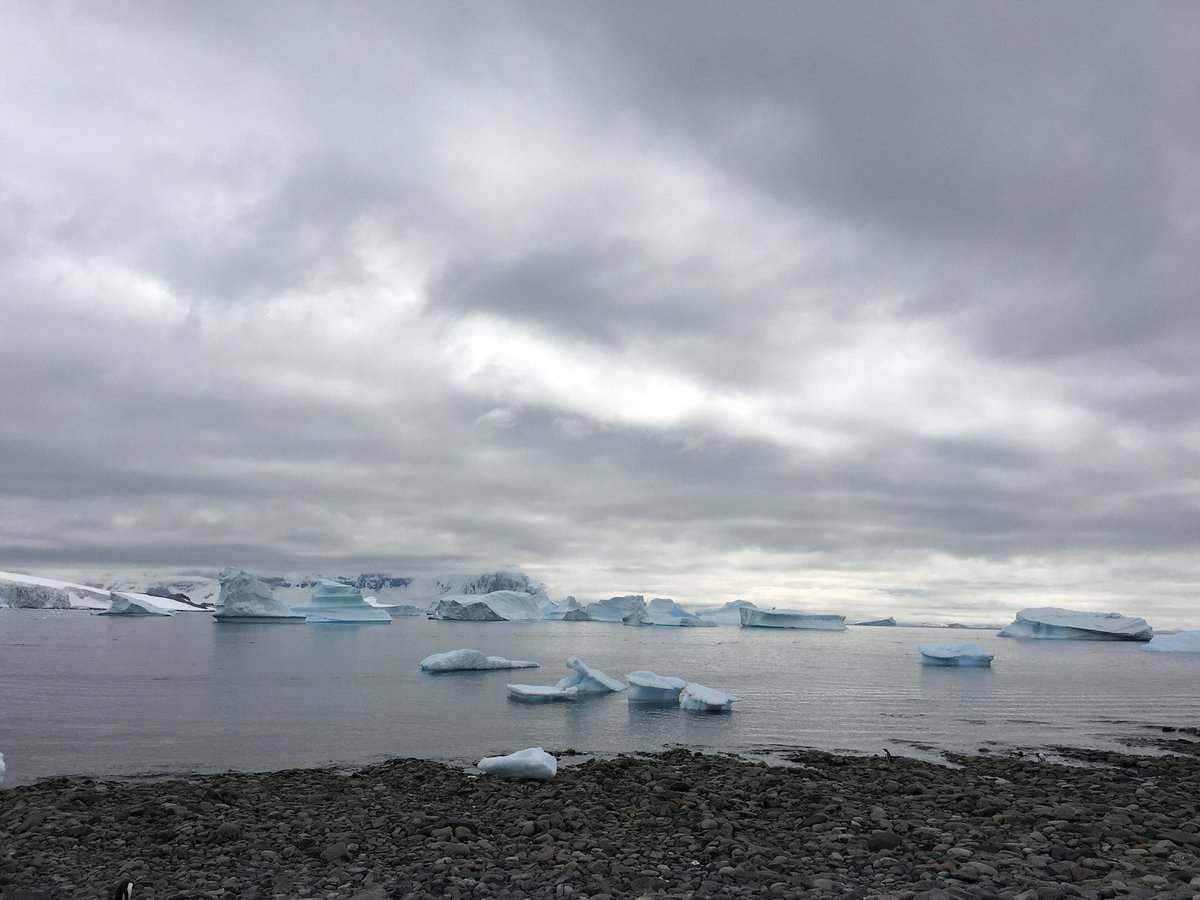 honeyean's tweet photo. #Icebergs, #growlers & #brash These photos don’t show how immense they are. To be in a space where there is nothing else was humbling, somehow. When the zodiac engine was switched off, all you hear is the wind, crackling & waves lapping against ice. #Antarctica #AmazingBlues https://t.co/PiQ2rUTIAG