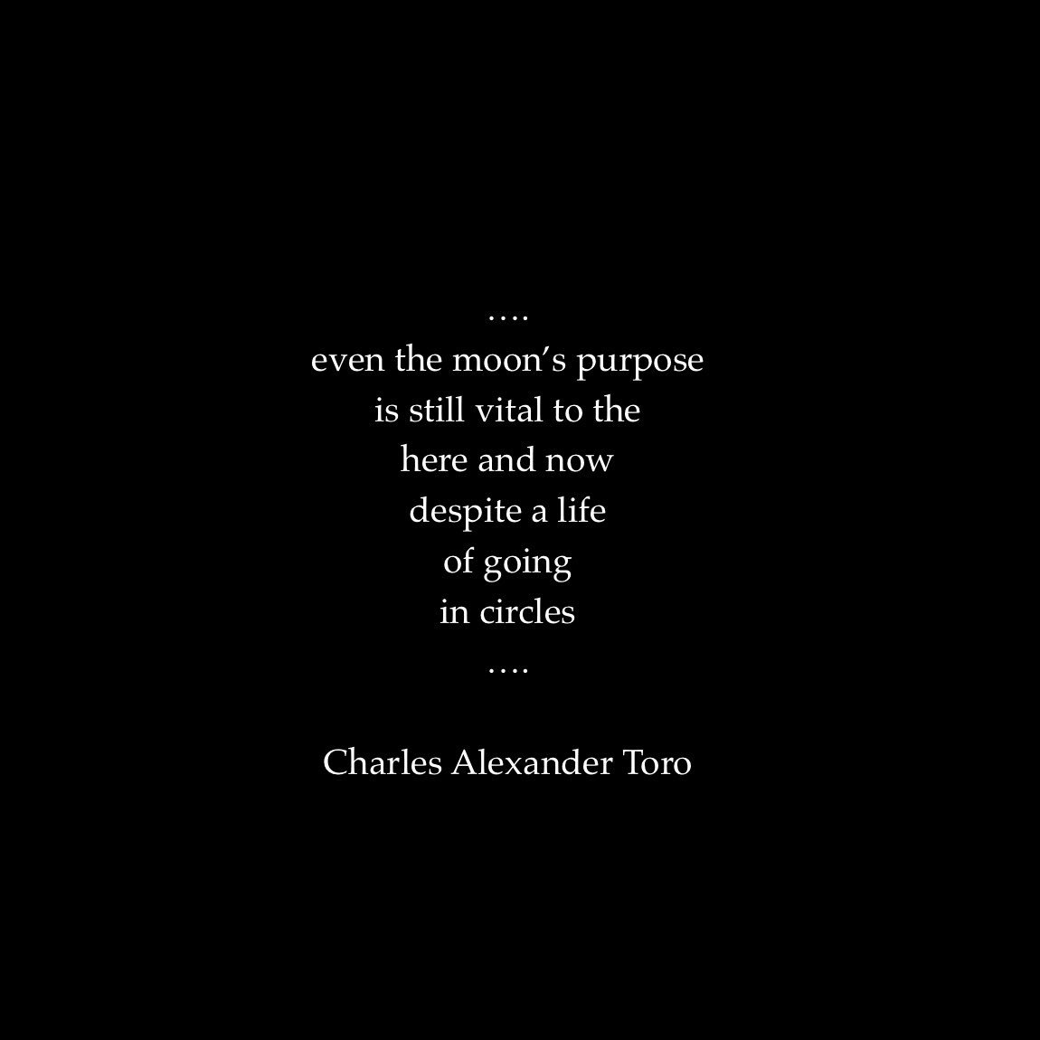 CTMusicNPoetry's tweet photo. An excerpt from my poem “a work in progress” from my ebook “What the Pages Said” on Kindle. #poetrycommunity #whatthepagessaid https://t.co/98TtlNjJ7U