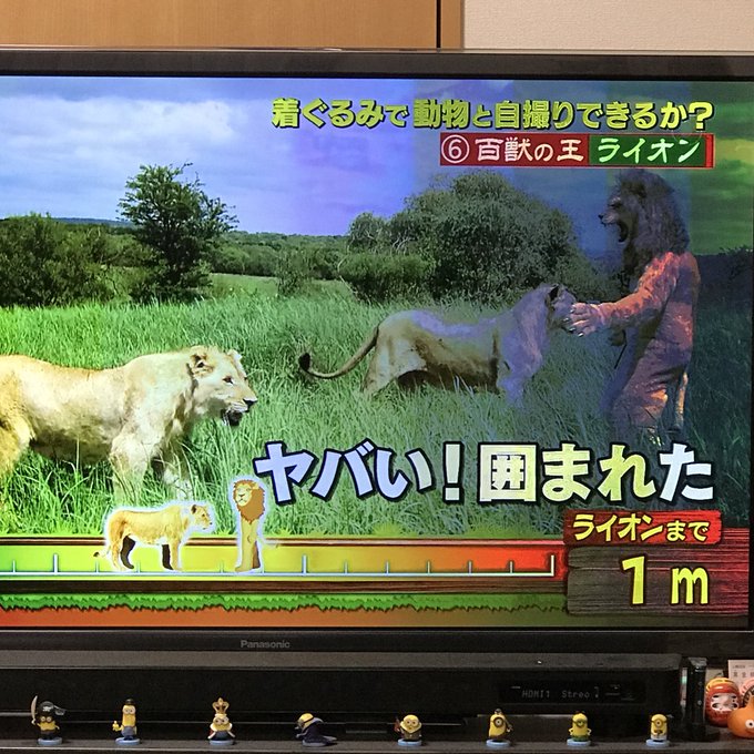 炎上 フジテレビ 坂上探検隊 狩野英孝とライオンの自撮り企画が炎上 見てて不快 大怪我したらどうするつもり まとめダネ 炎上 フジテレビ 坂上探検隊 狩野英孝とライオンの自撮り企画が炎上 見てて不快 大怪我したらどうするつもり まとめダネ