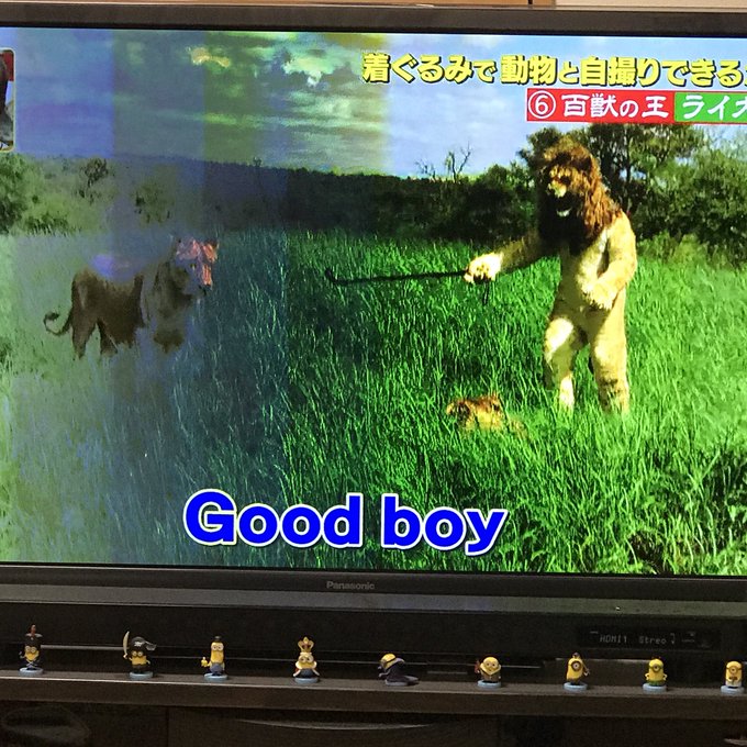 炎上 フジテレビ 坂上探検隊 狩野英孝とライオンの自撮り企画が炎上 見てて不快 大怪我したらどうするつもり まとめダネ