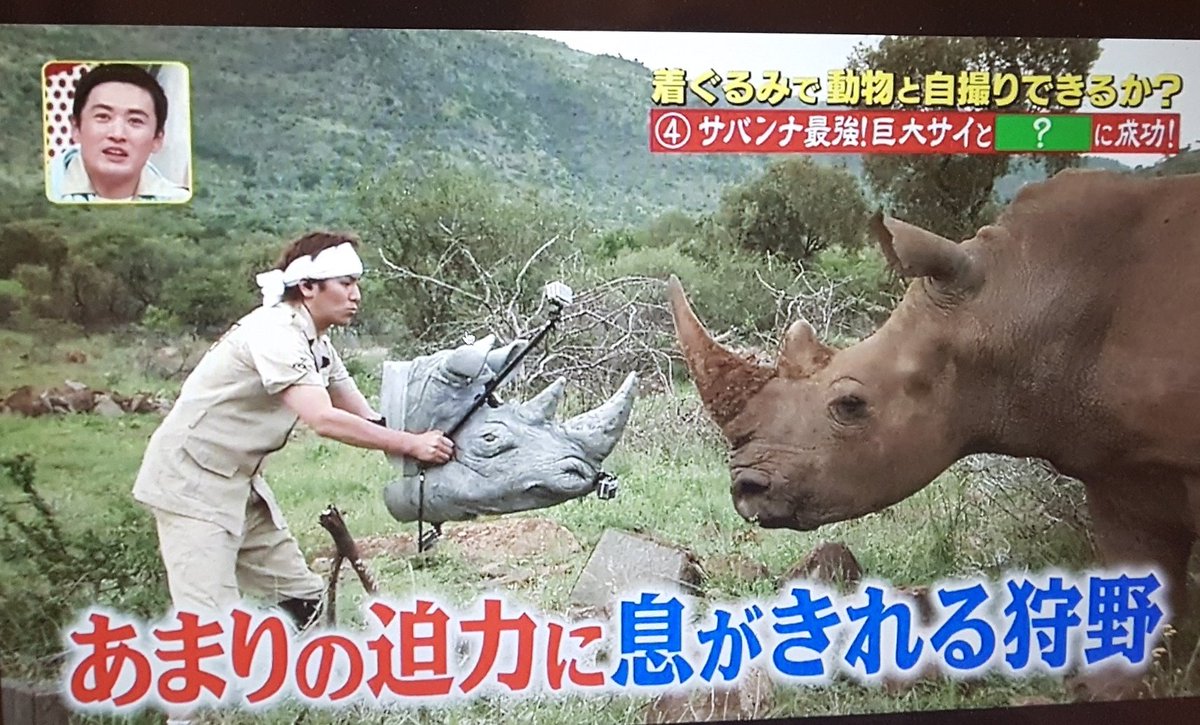 Chuck Vick 狩野英孝アフリカで動物の着ぐるみ着て動物に接近 ヤバイけど 面白すぎただよ Www ドキドキしてた Chuck Vick 狩野英孝アフリカで動物の着ぐるみ着て動物に接近 ヤバイけど 面白すぎただよ Www ドキドキしてた