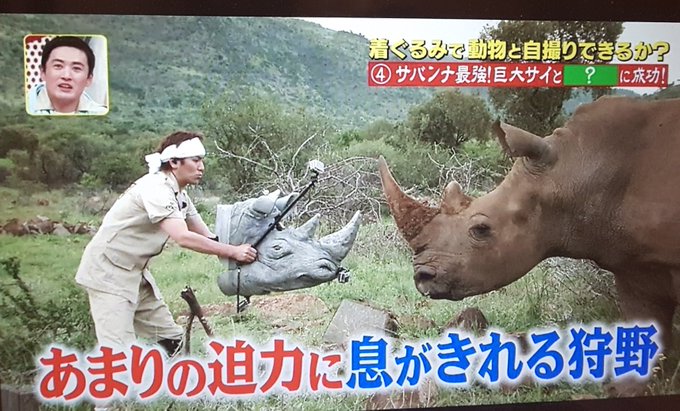 炎上 フジテレビ 坂上探検隊 狩野英孝とライオンの自撮り企画が炎上 見てて不快 大怪我したらどうするつもり まとめダネ