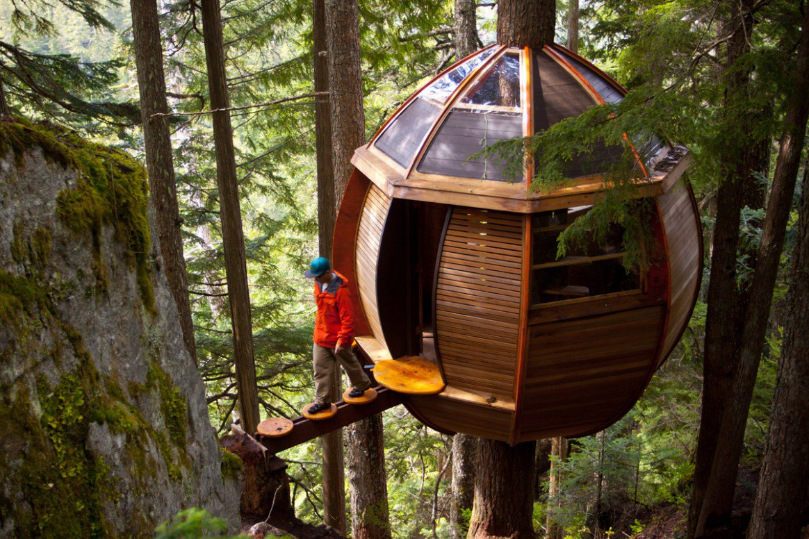 RosehillKC's tweet photo. #Treehouses have come a LONG way since we were kids! #MadeFromTrees #WhatAView https://t.co/a7NrRPMmPq