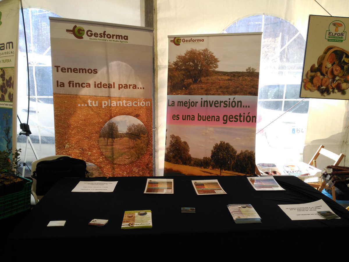 Gesforma_SL's tweet photo. En la feria de Quintanar. ¡¡¡Visítanos!!! https://t.co/keaz2ihbNh