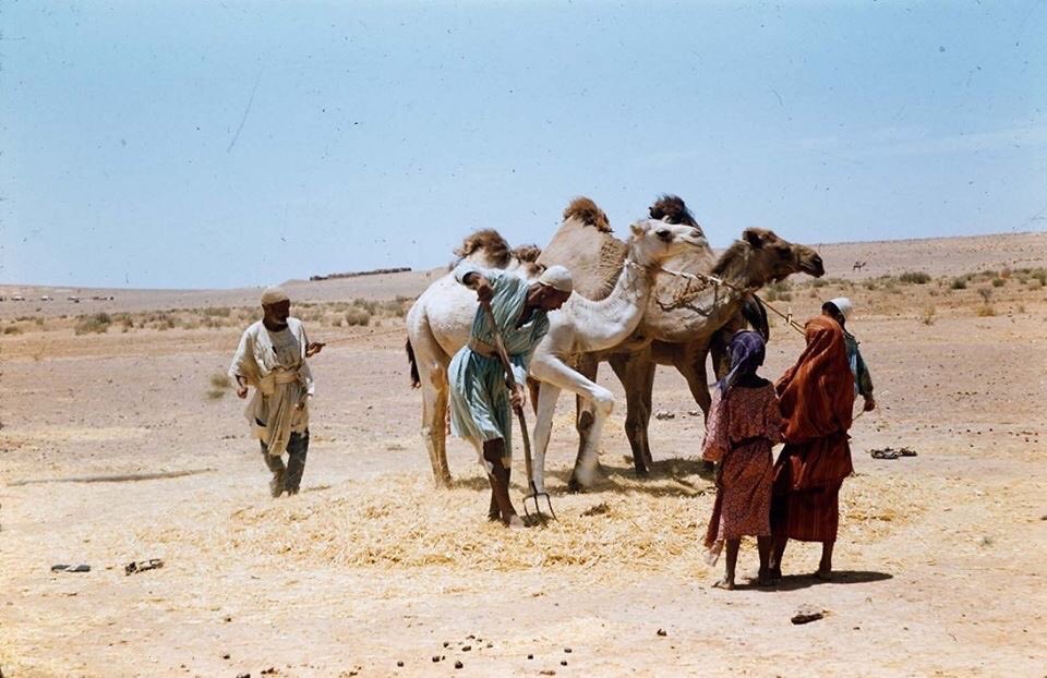 BenghaziBright's tweet photo. Libya in 1958 ❤️

Via History of Libya 

-RANA✨ https://t.co/zl0XxaAs19