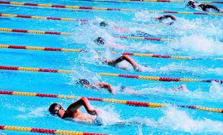 GuelphTriPro's tweet photo. Calling all triathletes! The GTP Winter Swim Time Trial is February 24th. Come out to test your speed and have some fun! Details: https://t.co/WRmBqGK1db https://t.co/Be09TvJXbP