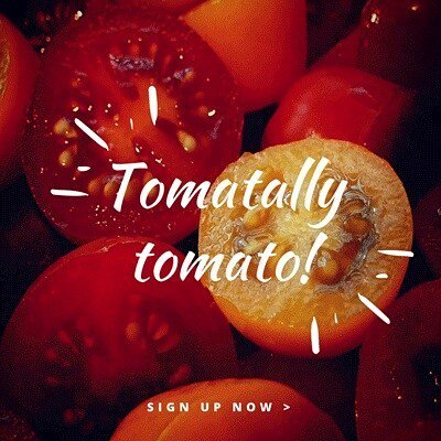 TheFoodWorksSHF's tweet photo. 50 TONNES OF TOMATOES! To reserve yours, sign up to reserve a 10kg bag, pick it up next week, share with us using #belliesnotbins and let us know what you're cooking with them. Let's get creative #sheffield!

More info on link in bio ^

#trjfpsheffield #… https://t.co/WqR5V7Yf1s https://t.co/h1iuWlTrjd