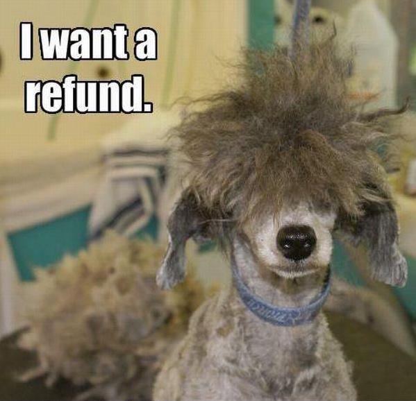 AllstateBarber's tweet photo. Can you blame him?
#badcuts #haircutsfordogs #barberlife #fixerupper https://t.co/OnlXykqua2