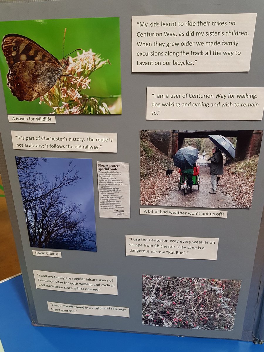focenturionway's tweet photo. Comments from users of #centurionway this path is so important to #chichester https://t.co/D2sWl6bIN2