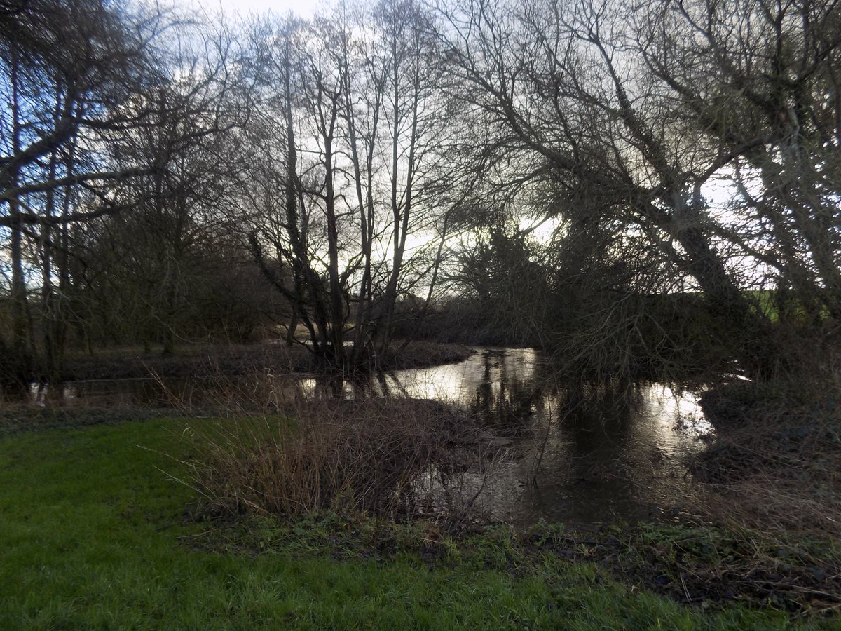 ThiChaplain's tweet image. près du "village" du Moulin de Kerlabour sur la commune de #SainteTréphine. Là aussi les boucles du #Sulon sont plus grandes qu'habituellement. #Nature #ruralité #ruralie