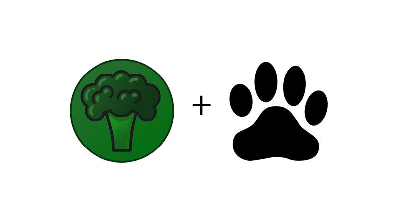 Just_Hash_Me's tweet image. Bitcoin Granny Saves Animals by Mining Veggiecoin

#altcoin #veggiecoin #btc #eth #crypto justhash.me/bitcoin-granny…