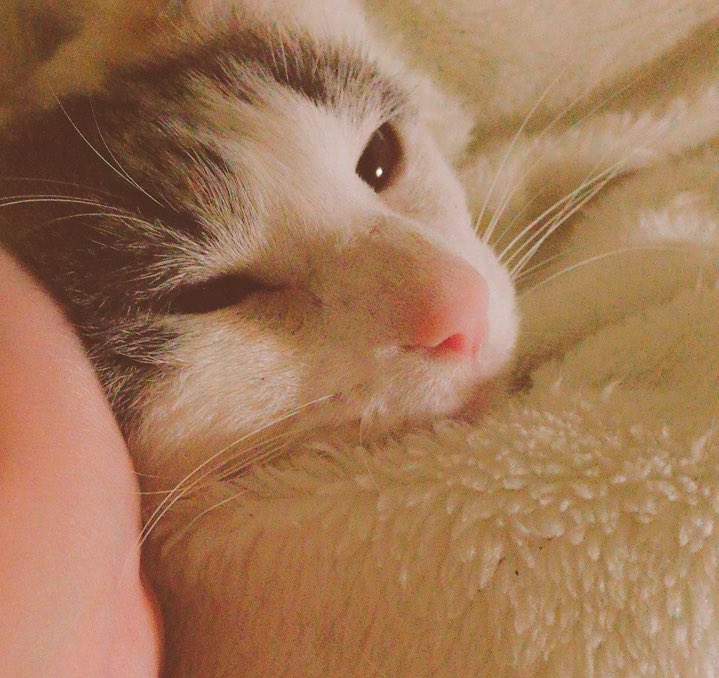 ぬくぬくぬくぬく…