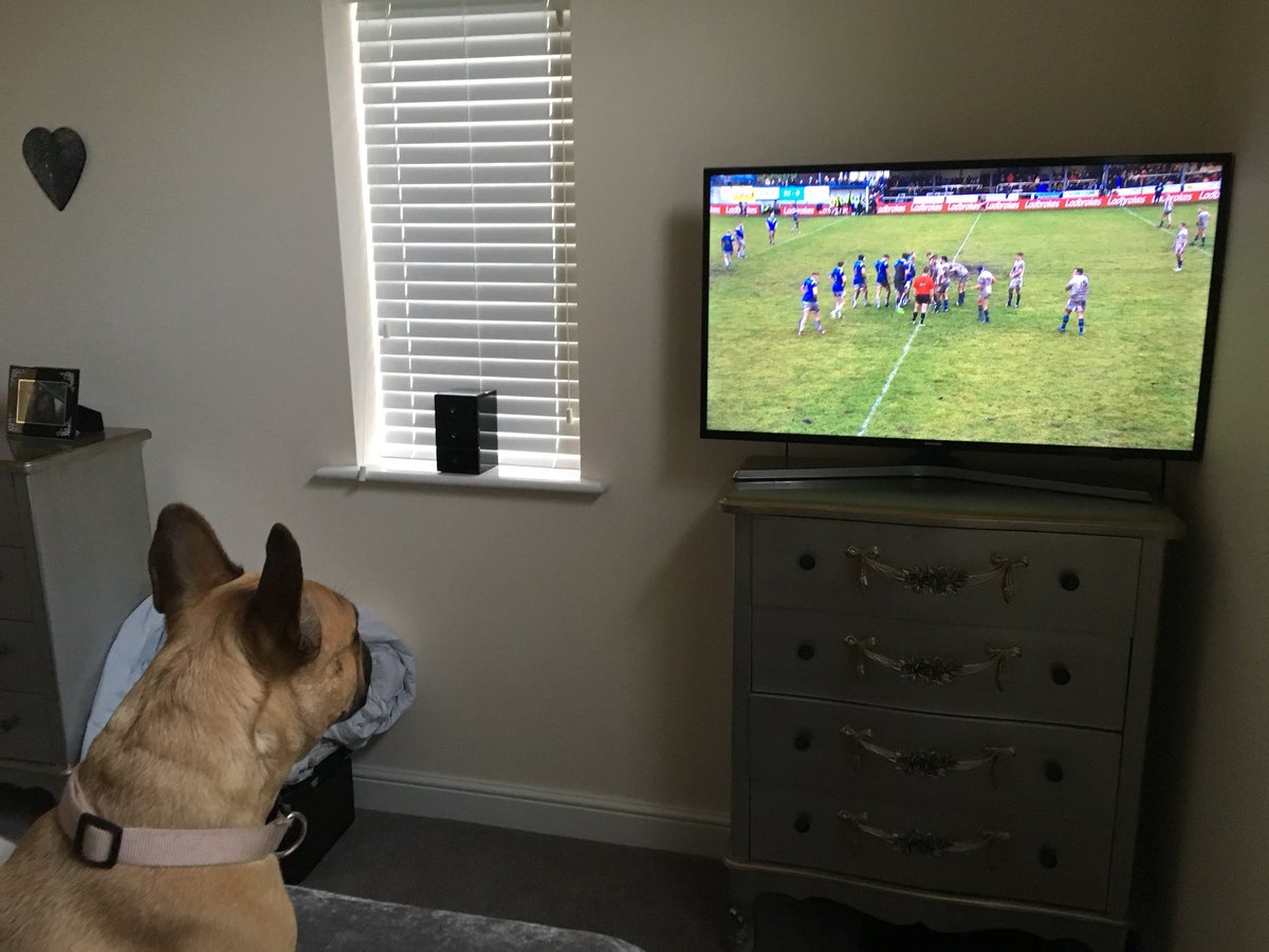 JoyAMahoney's tweet photo. #bbcrl come on Crosfields says Nelly the French Bill Dog! #upthesoap #crosfields https://t.co/kU6VbdQKMu