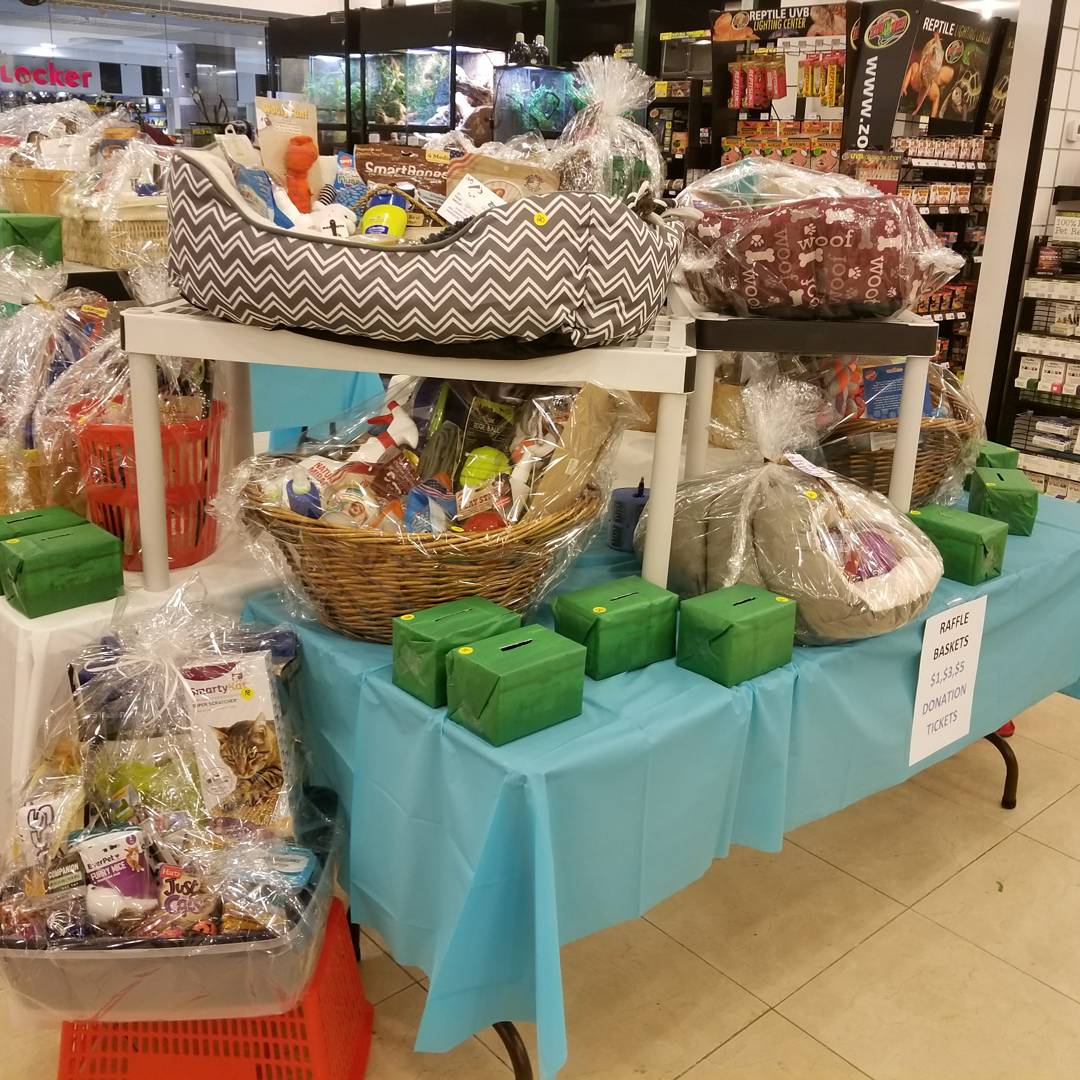 Colonial Park Mall tweet media