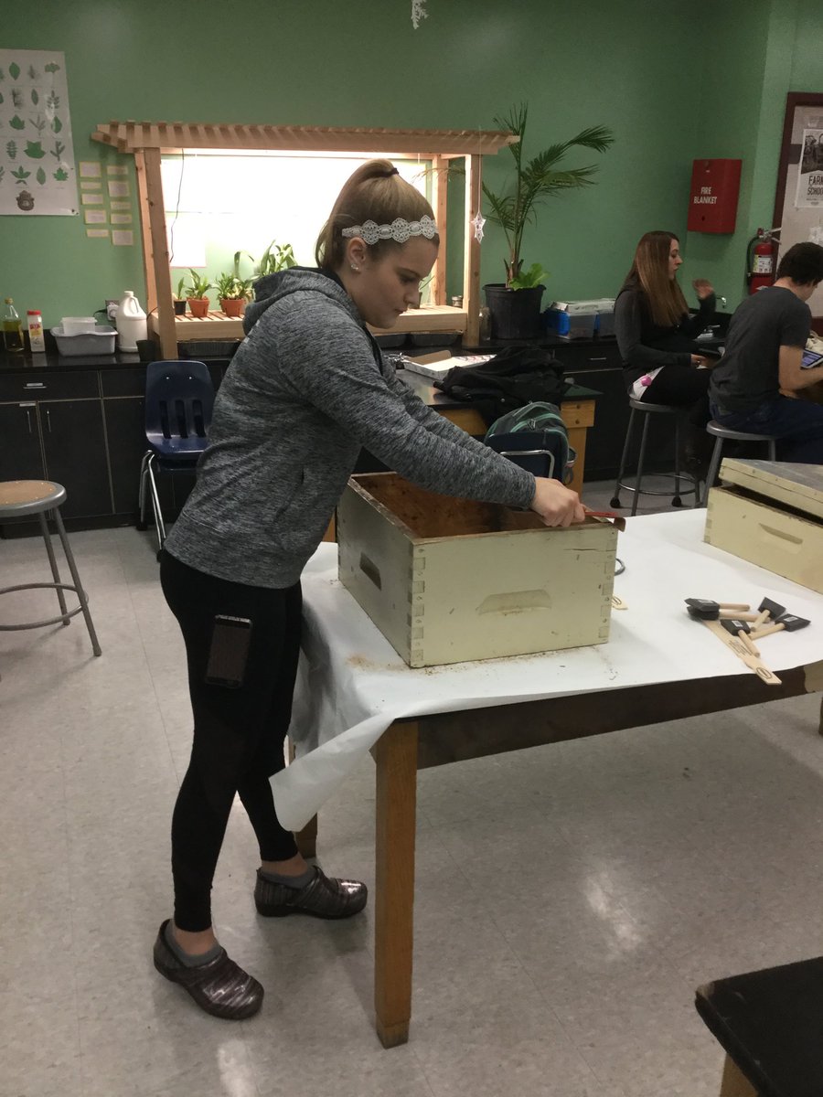 Bfairfax scraping propolis from an old hive body in Farm to School class in preparation for our honeybees’ arrival