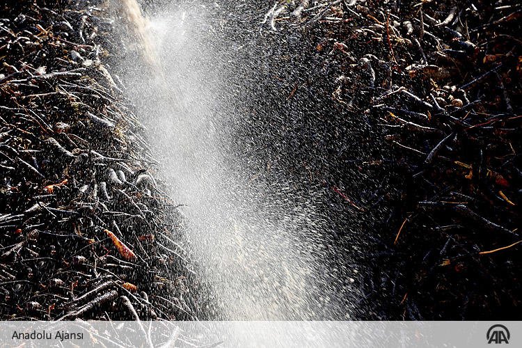 Ereğli'nin siyah havucu 25 ülkenin gıdasını renklendiriyor

Konya'nın Ereğli ilçesinde yetiştirilen siyah havuçlar, 5 bin metrekare alanda kurulu fabrikada konsantre hale getirildikten sonra gıda renklendiricisi olarak kullanılmak üzere 25 ülkeye gönderiliyor