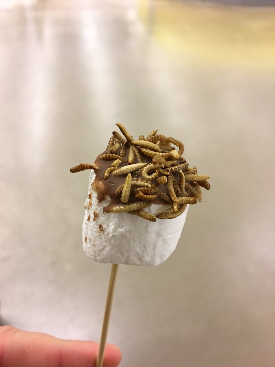 Lecker! Dschungelcamp auch mal live mitmachen! #ibes <a href="/METRO_News/">METRO AG</a>