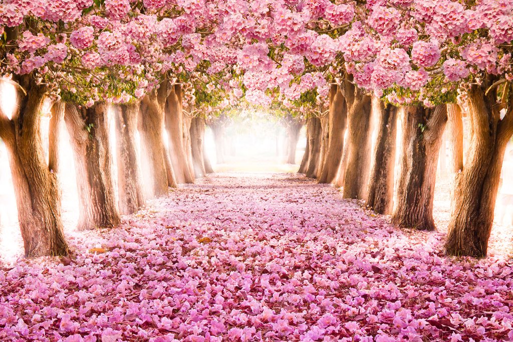 The way of peace is the way of love.
Love is the greatest power on earth.
It conquers all things.

Peace Pilgrim