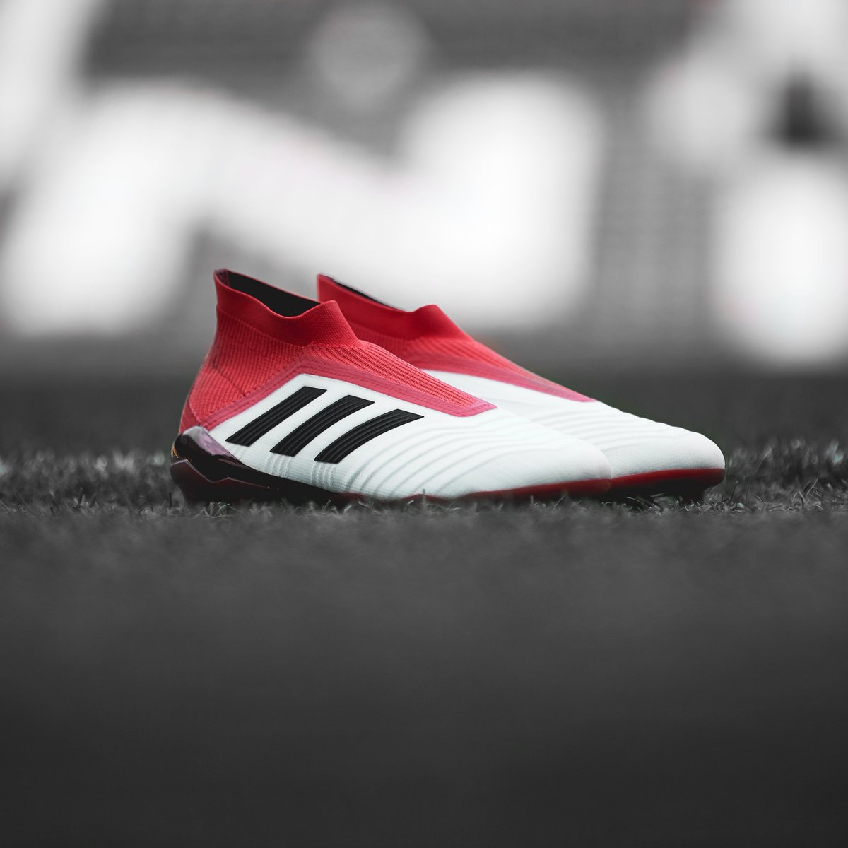 adidas predator pro direct soccer