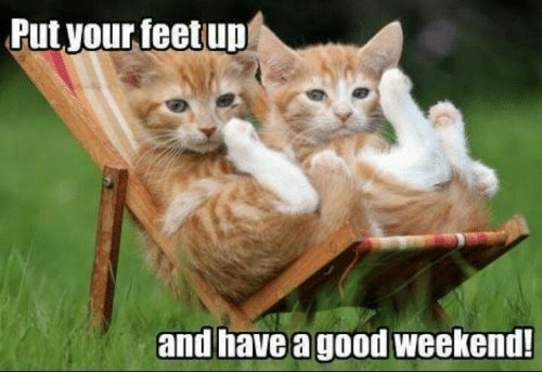 CVOrgAIL's tweet photo. Wish you all a fun & safe weekend!
#weeknds https://t.co/8xxYTFNF77