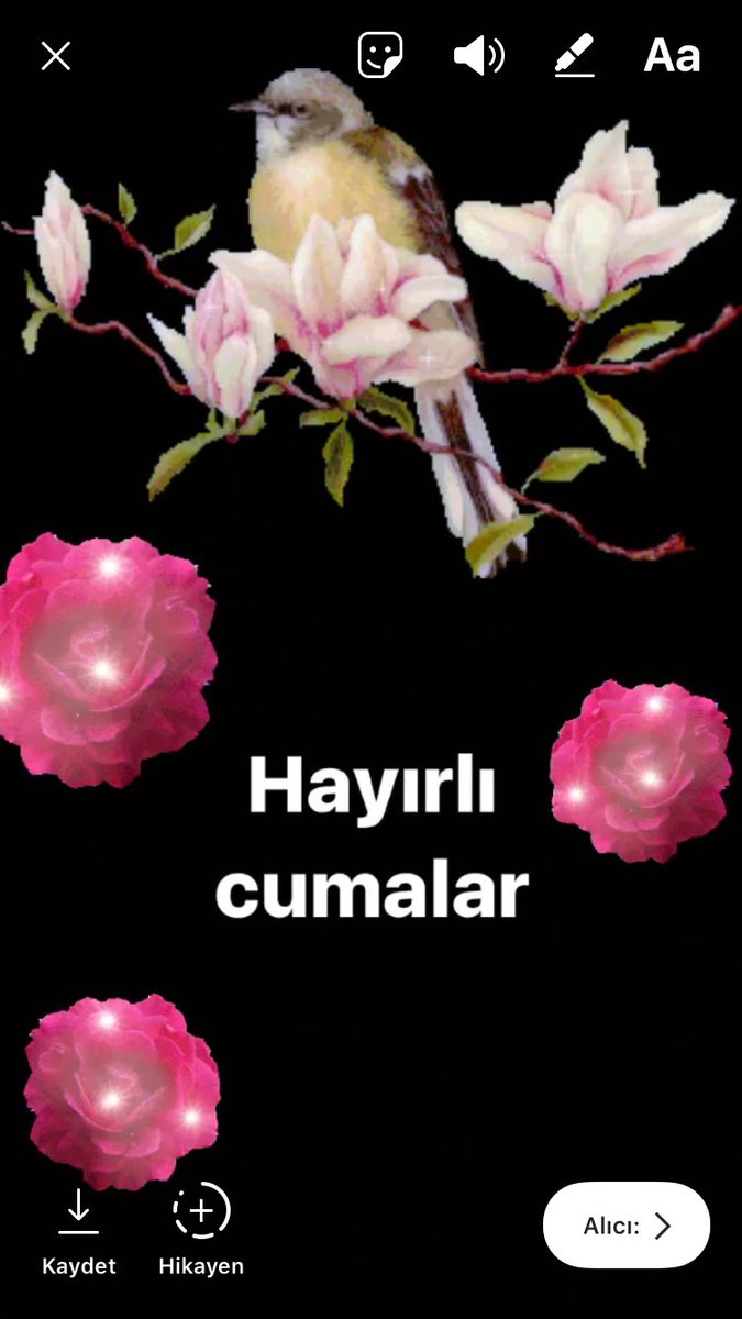 Instagram'in düşündüğü / benim yaptığım