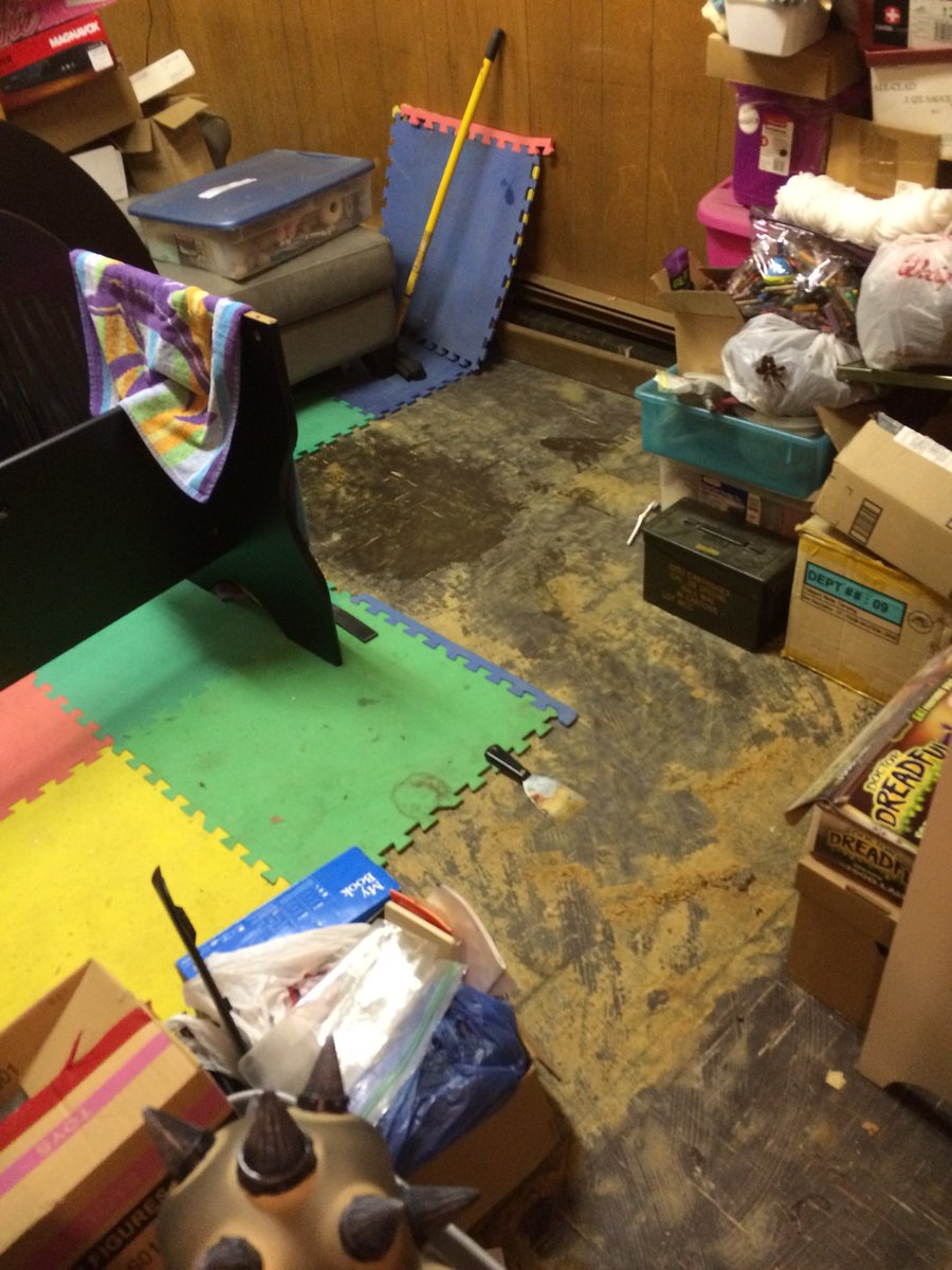lorapeddle's tweet photo. Transformation... underway.. https://t.co/u1PsCvk2kU