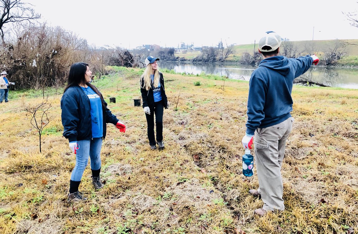 Storm surge brought plastics 20+ ft into the trees of #SimsBayou during #Harvey. SCA is rooting it out! <a href="/HPARD/">HPARD</a>  #SCAHarveyRecovery #Houston