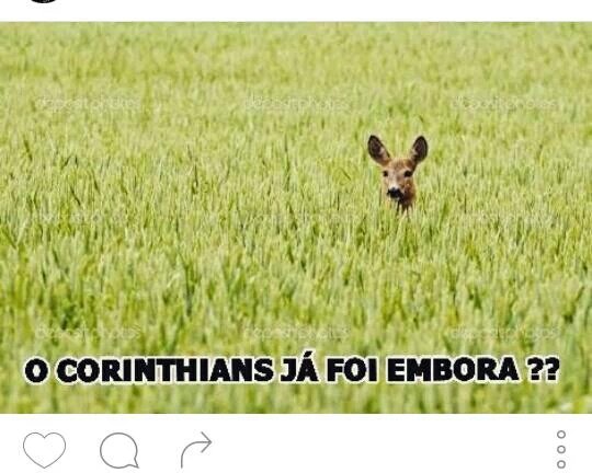 malokero_loko's tweet photo. #VaiCorinthians
#PraCimaDelasTimao
#RumoAo29
@lulu_sccp_
😃😃😃😃😃😃😃 https://t.co/Rm0zV8O5WQ