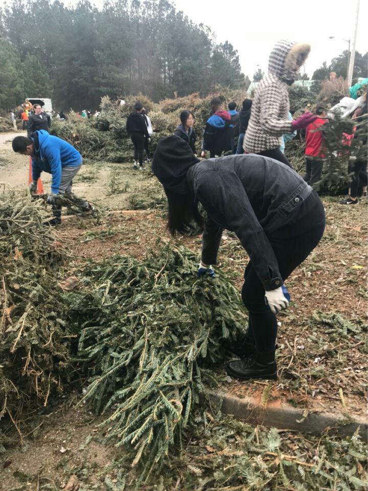 _MHSKeyClub's tweet image. A huge Thank You to everyone who came out to help bring one for the chipper!!! Successful event recycling our Christmas trees! 💙 #mustangs #bringoneforthechipper