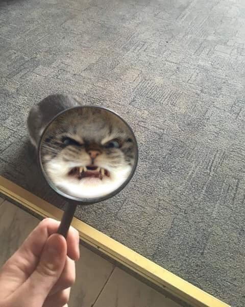 btsmemesyo's tweet photo. yoongi vs agust d https://t.co/BjZ0jH2K1D