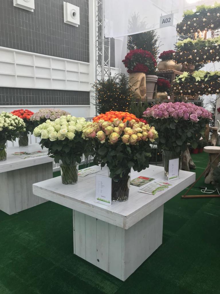 kenyaflower's tweet photo. Visit the Kenya pavilion at  #floradecora2018. You can miss the quality and best flowers from Kenya. https://t.co/g9kcFvQv8B