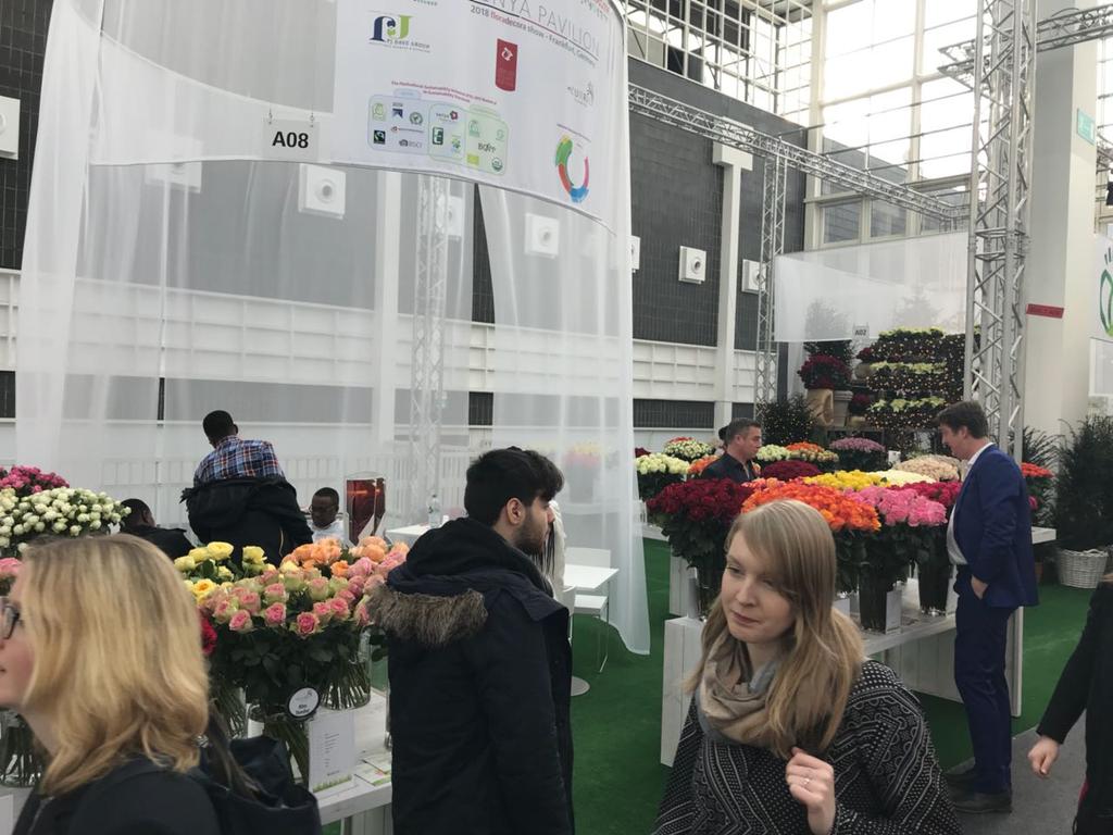 kenyaflower's tweet photo. Visit the Kenya pavilion at  #floradecora2018. You can miss the quality and best flowers from Kenya. https://t.co/g9kcFvQv8B